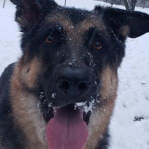 Meet your Posher, Karen